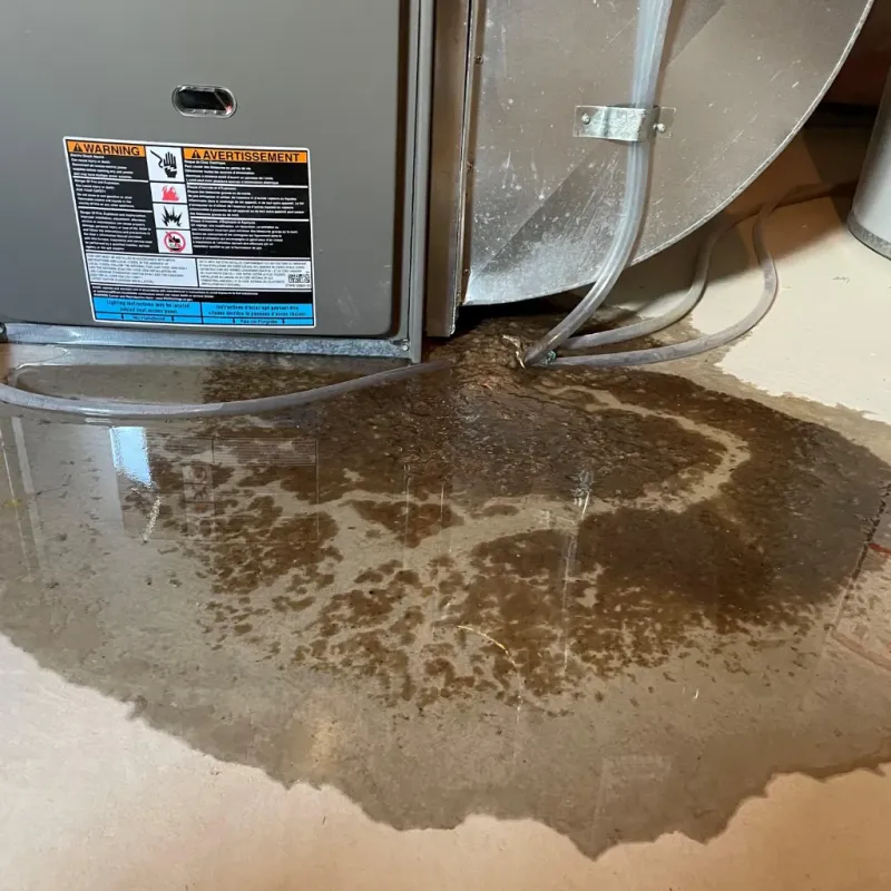 Appliance Leak Cleanup in Satellite Beach, FL